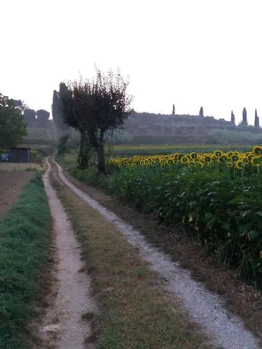 Podere Gian Battaglia Fucecchio Apartment