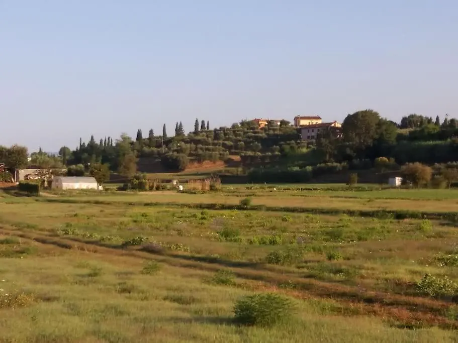 Podere Gian Battaglia Fucecchio 0*,