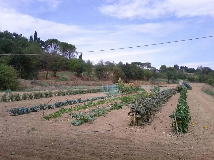 Podere Gian Battaglia Fucecchio Apartment