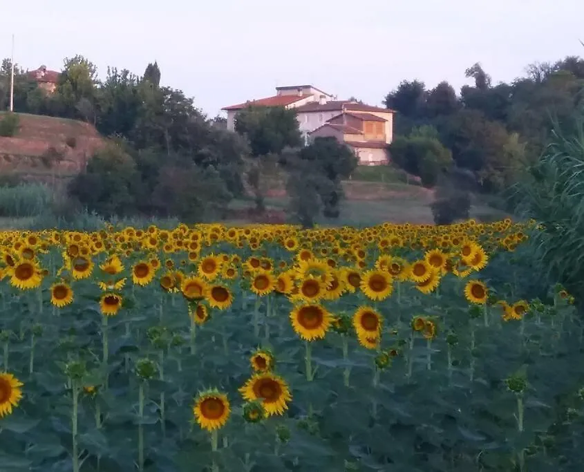Apartment Podere Gian Battaglia Fucecchio