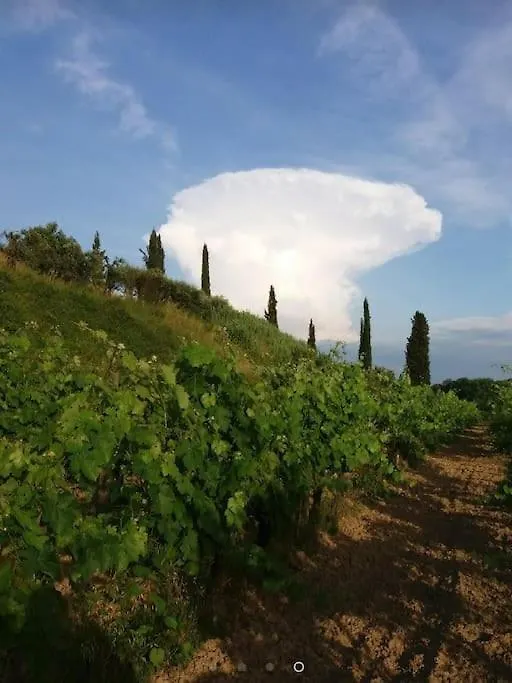 Podere Gian Battaglia Fucecchio Italy