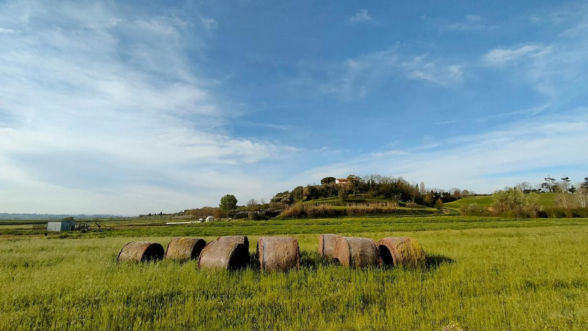 Podere Gian Battaglia Fucecchio