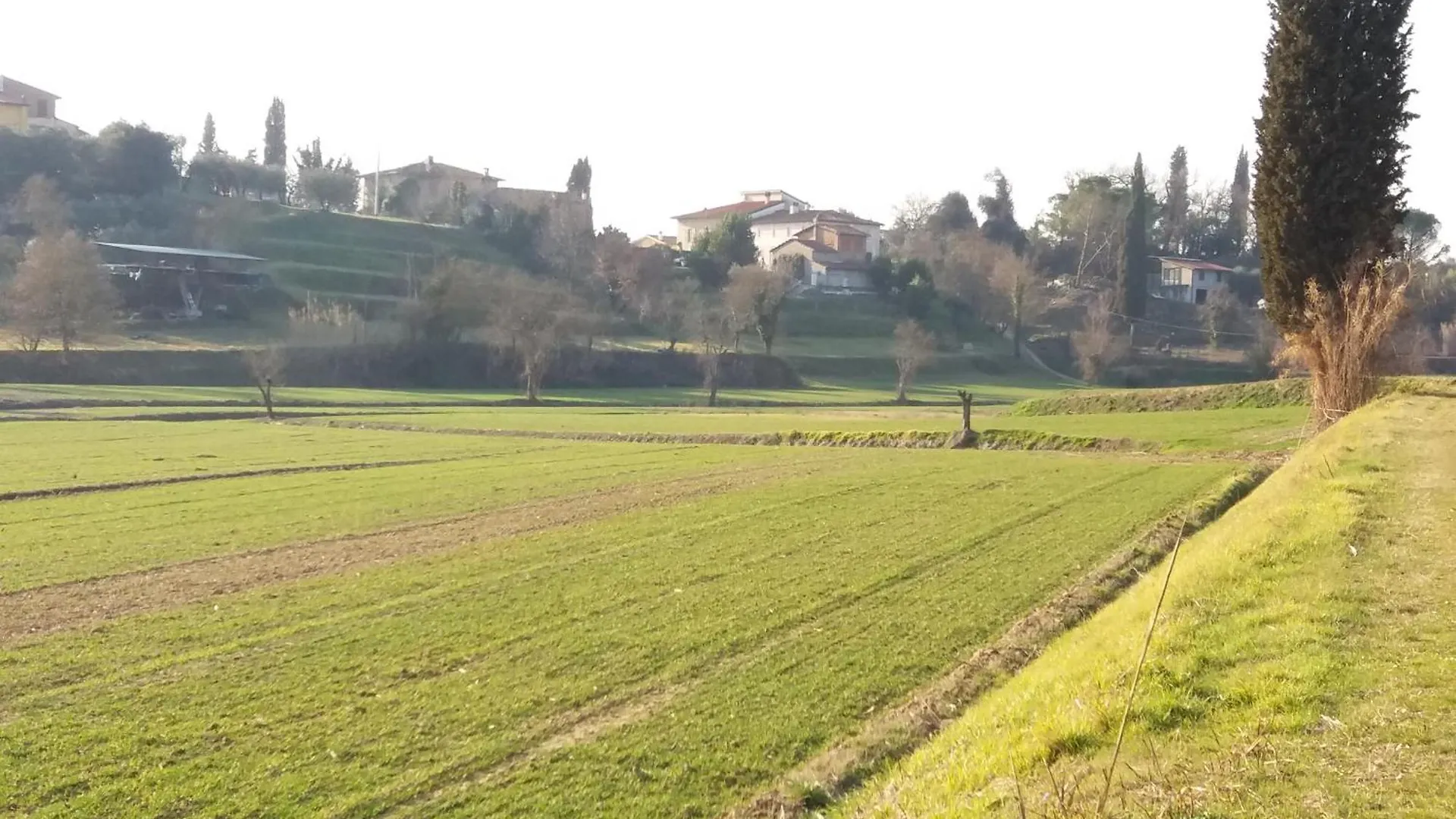 Podere Gian Battaglia Fucecchio Italy