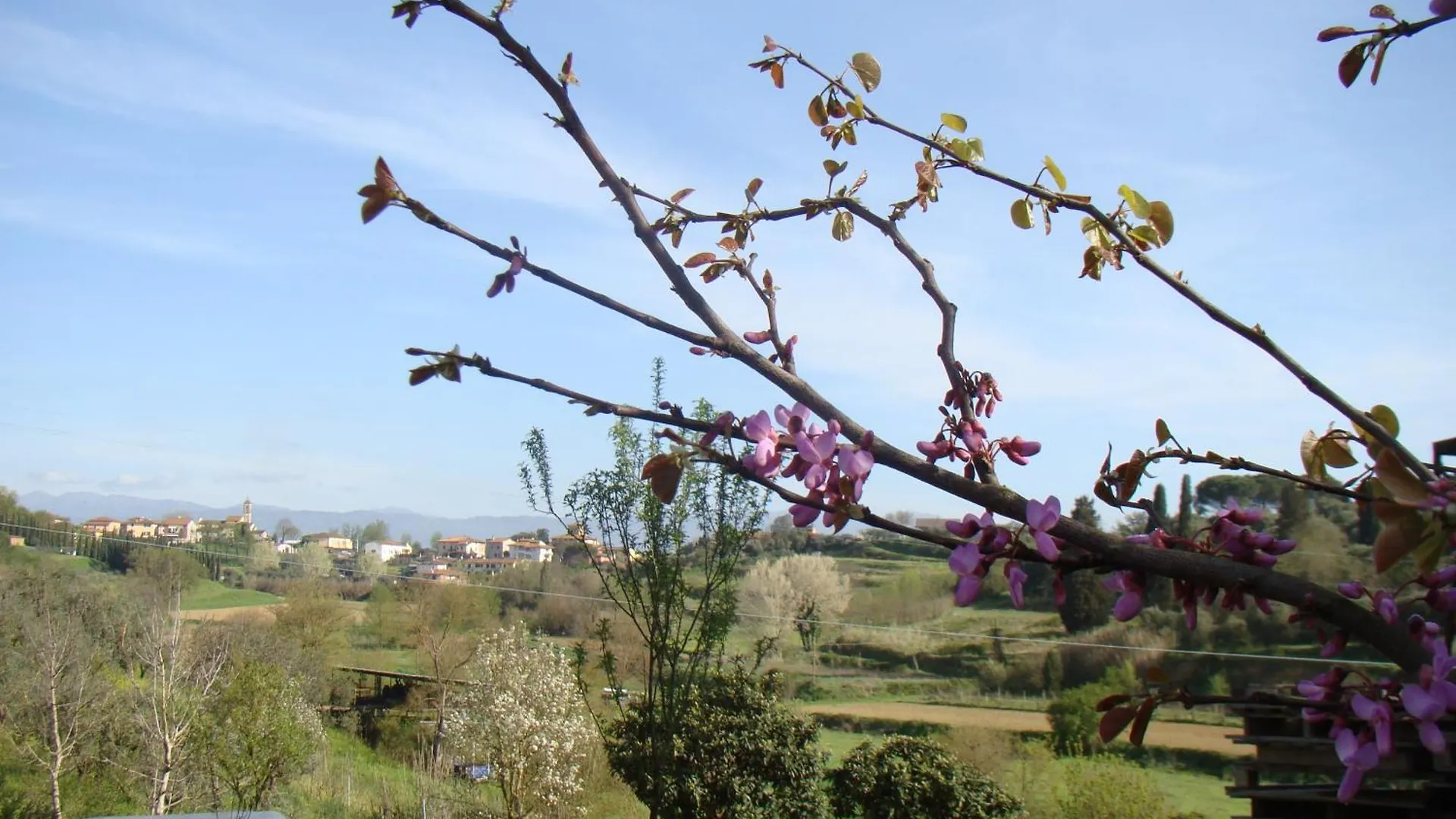 Apartment Podere Gian Battaglia Fucecchio Italy